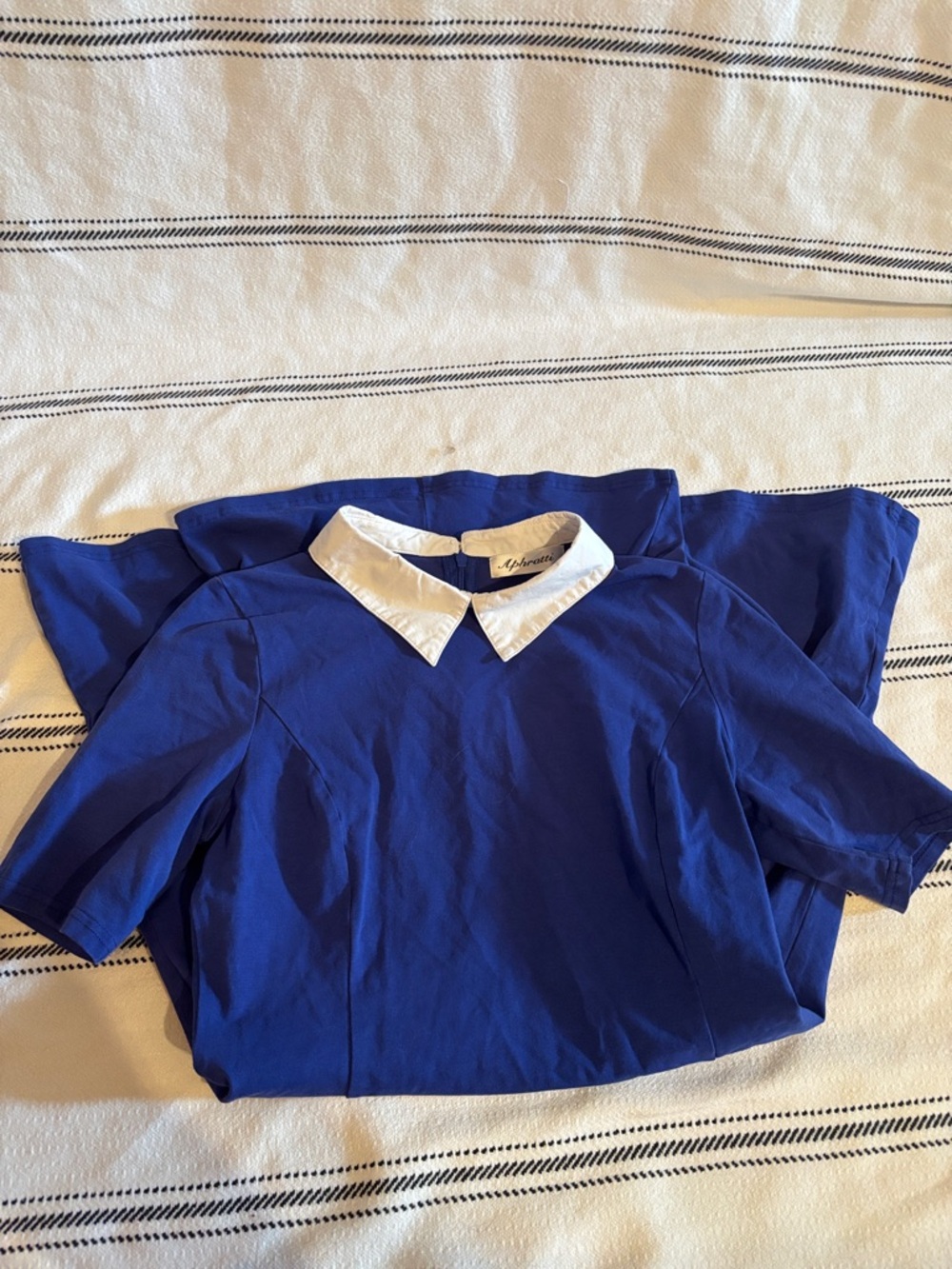 Blue Dress with White Peter Pan Collar